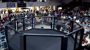 Southeast Expo Center fight cage